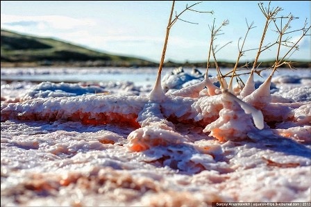 Rực rỡ khu đầm muối tuyệt đẹp ở bán đảo Crimean - 8 Đình Huế